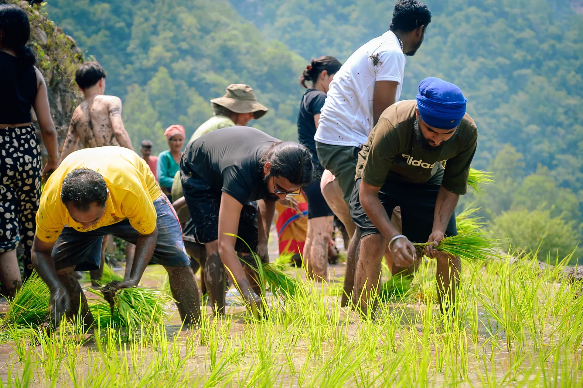 Planting rice on a day retreat